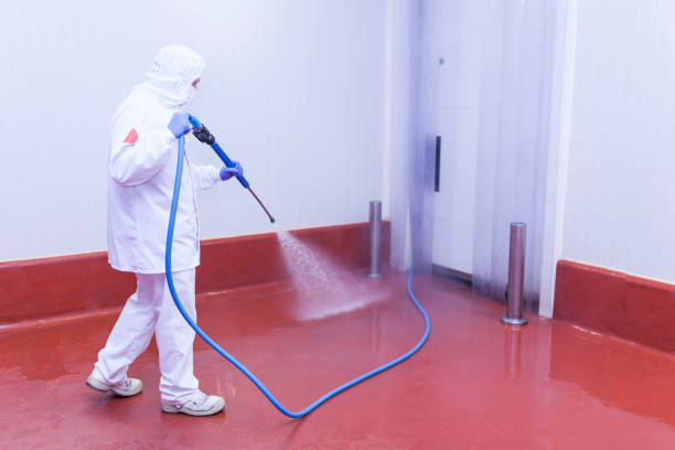 Best Pre-Holiday Cleaning  in Broadview Heights, OH